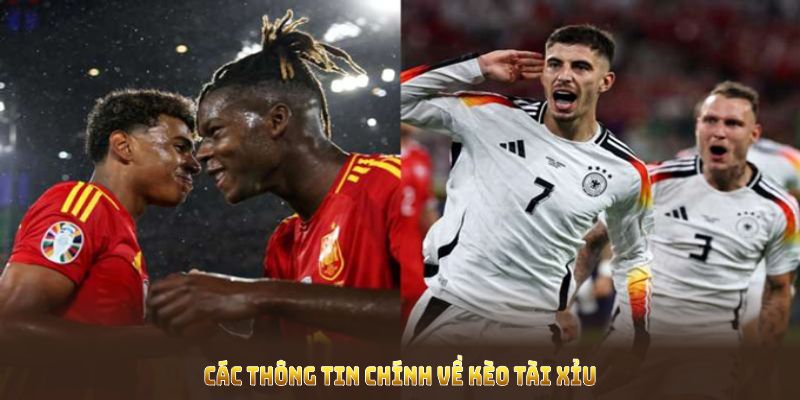Các thông tin chính về kèo tài xỉu dành cho người chơi