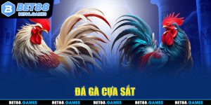 đá gà cựa sắt