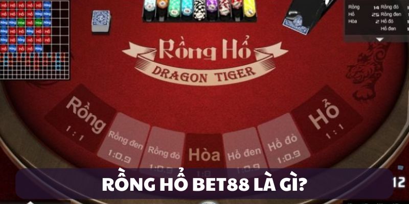 Giới thiệu về Rồng Hổ